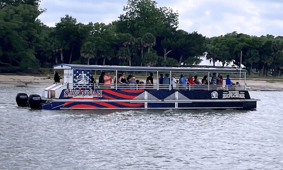 Picture 4 for Activity Savannah: Dolphin Spotting and Wildlife Eco Cruise