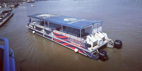 Savannah : Croisière écologique pour l'observation des dauphins et de la fa...