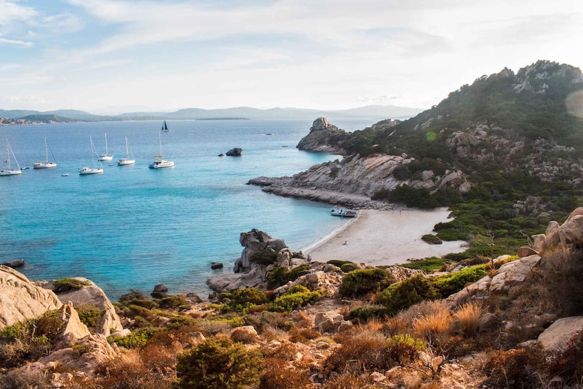 Porto Pollo: La Maddalena Islands Snorkeling Tour