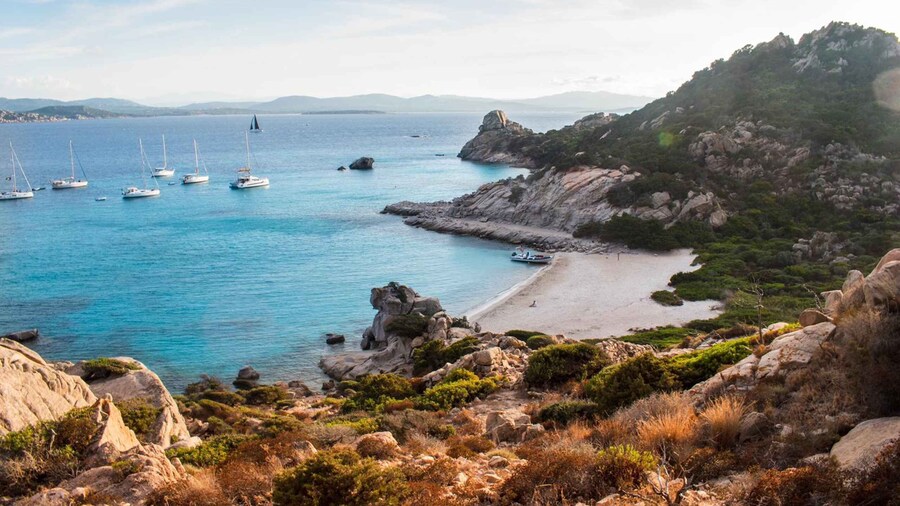Porto Pollo: La Maddalena Islands Snorkeling Tour