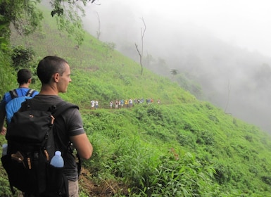 Chiang Mai: Tour di un giorno intero del villaggio Lahu e trekking delle ca...