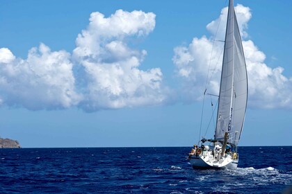 Heraklion: viaje en velero para grupos pequeños a la isla de Dia con almuer...