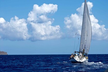 Héraklion : Voyage en voilier en petits groupes à Dia Island avec déjeuner