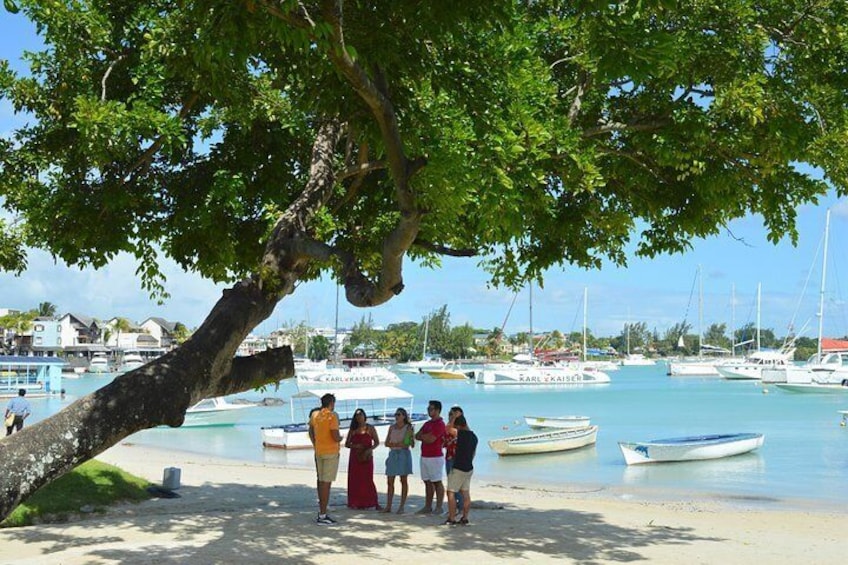 Grand Bay Food Tour