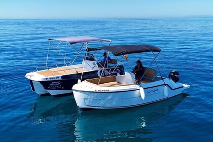 New 2025!! Unlicensed boat for dolphin watching