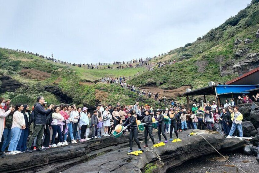  Private Day Tour World Natural Heritage in jeju island 