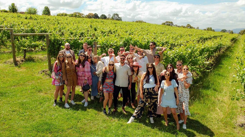 Yarra Valley Food & Wine Tour - Inc Lunch + 1 bottle of wine