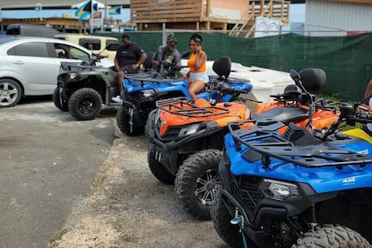 ATV, Speed Boat, Pigs and Snorkeling Combo