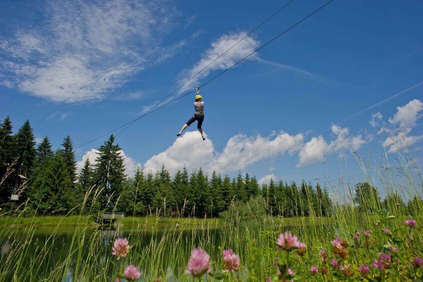 Picture 4 for Activity Hornpark - High Ropes Course