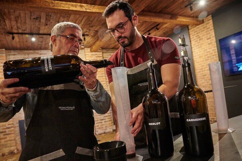 Make Your Own Wine & Guided Vineyard Tour