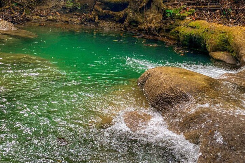 Ready to take a dip?