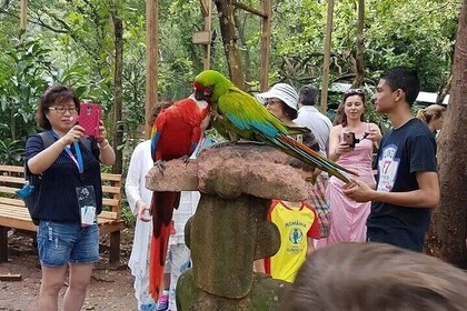 Half-Day Wildlife Adventure and Macaw Market Activity in Roatan