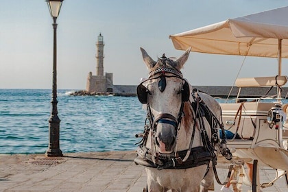 Full-Day Private Guided Tour in a Breathtaking Crete Island
