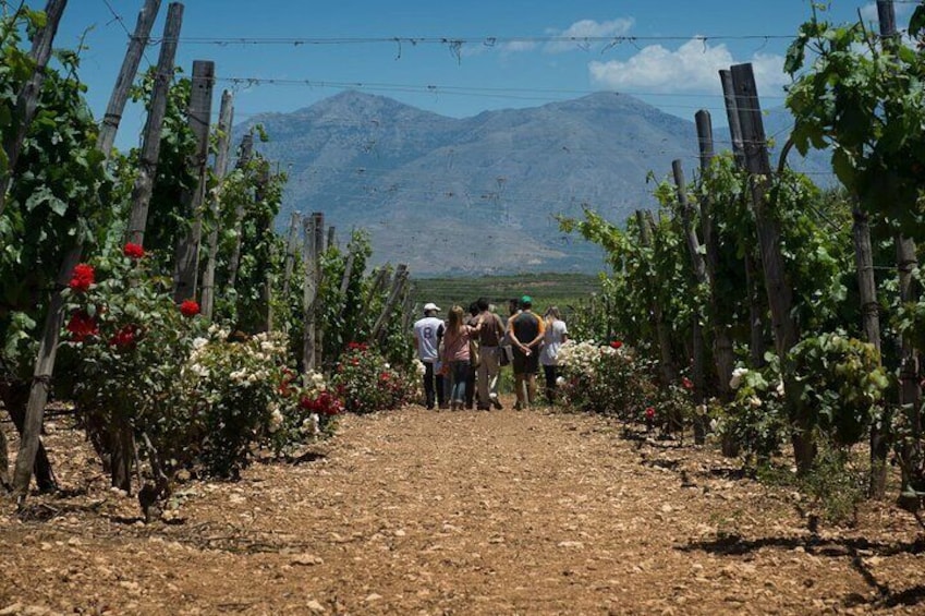 Half-Day Private Tour in Two Wineries and Archanes from Heraklion