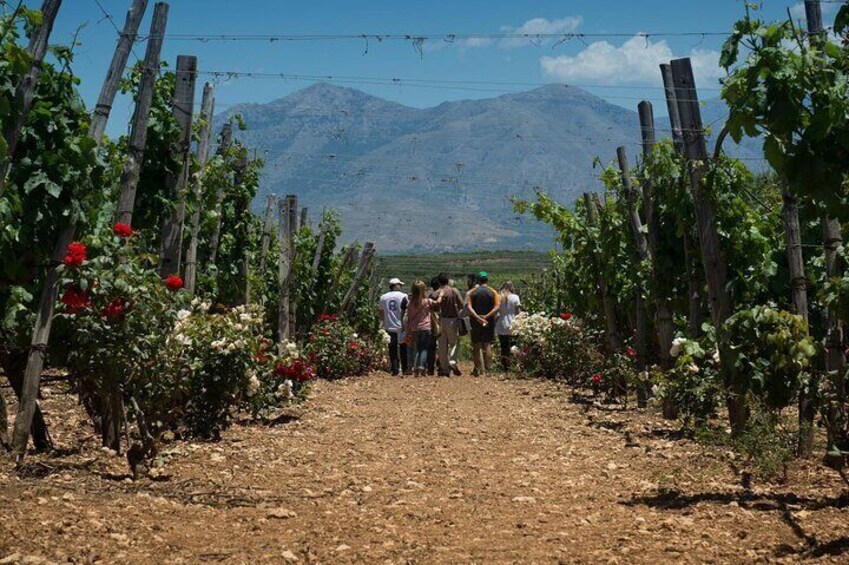 Half-Day Private Tour in Two Wineries and Archanes from Heraklion