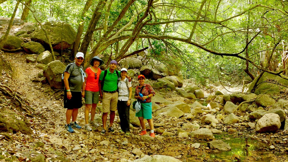 Hiking group through the woods