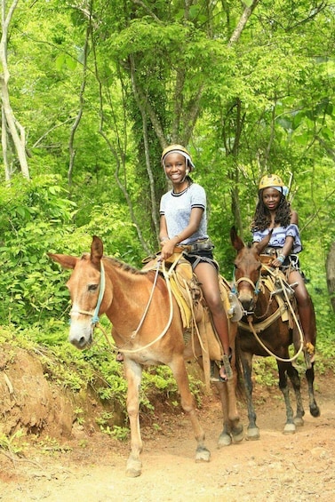 Guided mules Ride or horse in the Sierra Madre