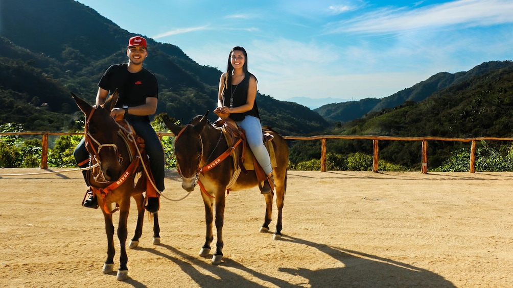 Guided mules Ride or horse in the Sierra Madre 