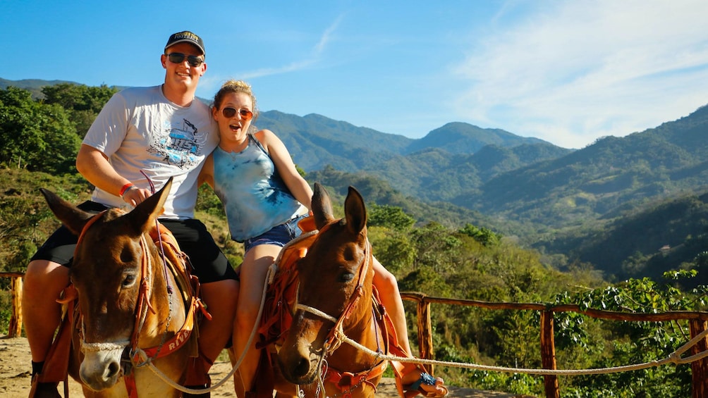 Guided mules Ride or horse in the Sierra Madre 