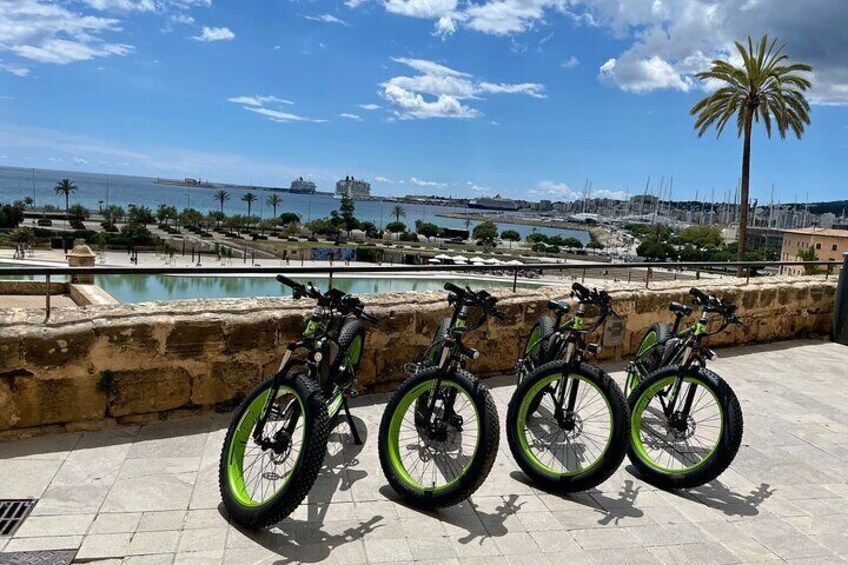 2-Hour Exclusive Fat Tire E-Bike Tour in Palma