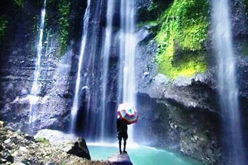 Surabaya-Madakaripura Waterfall-Bromo-Ijen, All Entrance Included