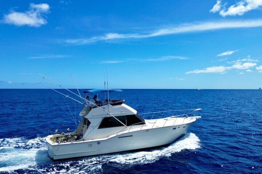 Private Sport Fishing Charters 