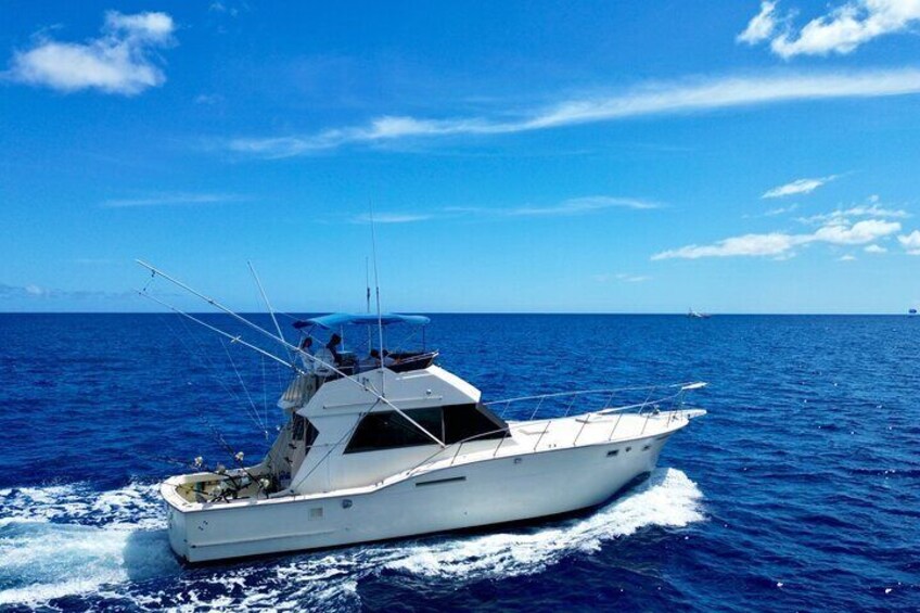 Private Sport Fishing Charters