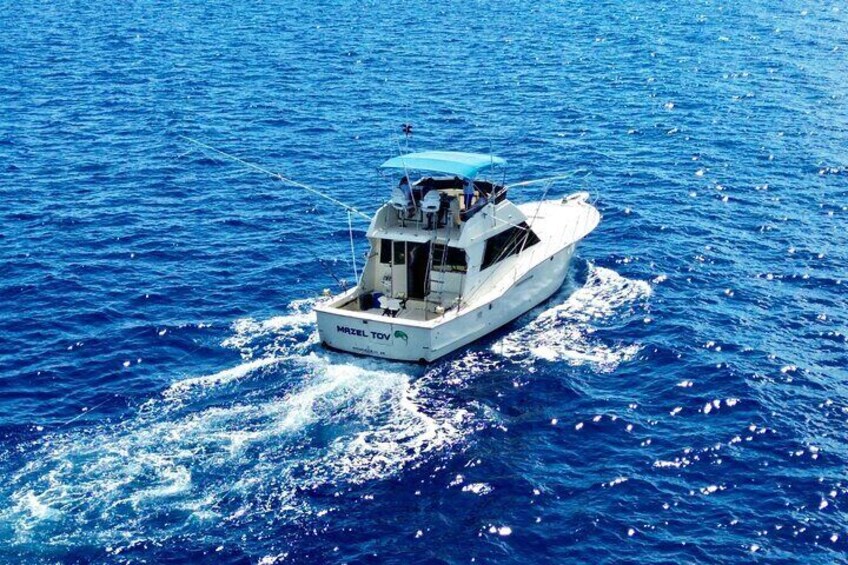 Private Sport Fishing Charters 
