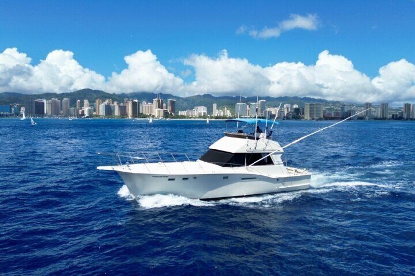 Private Sport Fishing Charters 