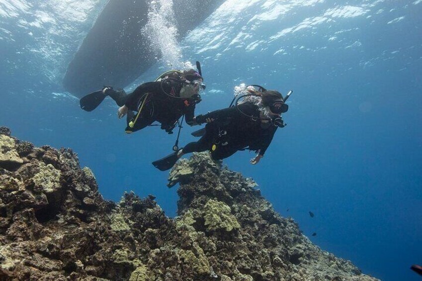 Full Day Scuba Diving Course: Pool and Boat Dive Experience