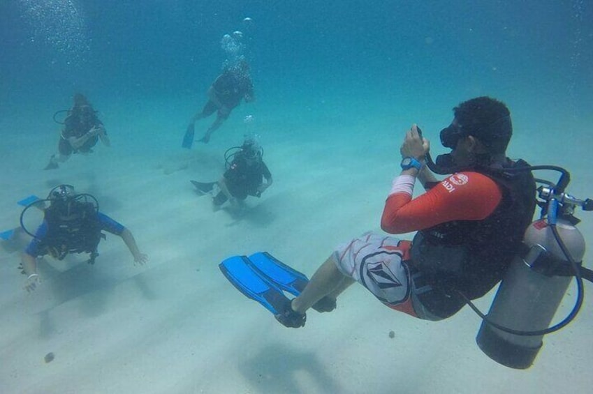 Half Day Scuba Diving Course enjoy Pool and Beach Dive Adventure