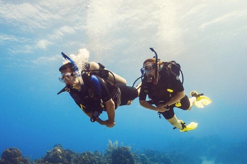 Half Day Scuba Diving Course enjoy Pool and Beach Dive Adventure