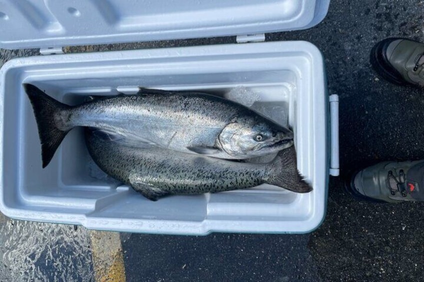 3 Hours Fishing Experience Class in Juneau
