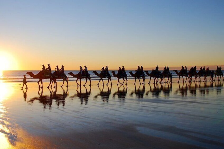 2-Hour Camel Ride Experience in Djerba Lagoon