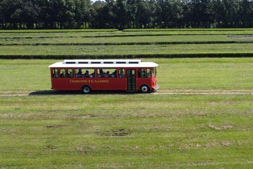 Trolley Tour