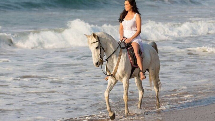 NEW! Cabo Shore Excursion: Beach Horseback Ride & Tequila Tasting