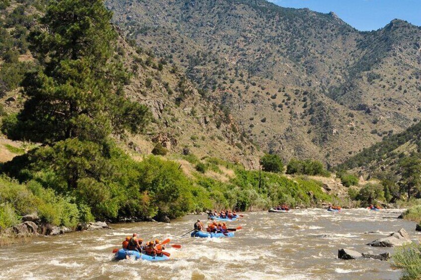 Class III rapids follow Bighorn Sheep Canyon's Spikebuck Rapid.