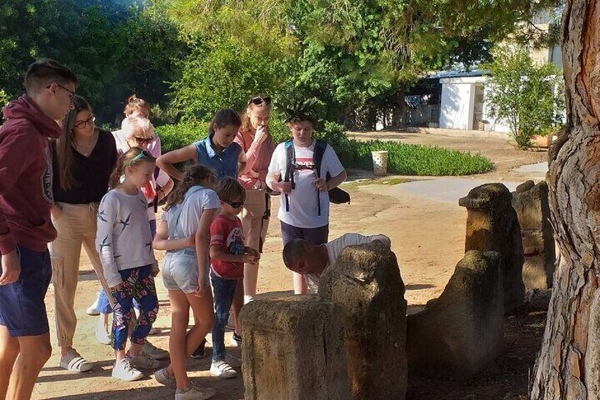 Private Walking Tour of Carthage Archaeological Site in Tunisia