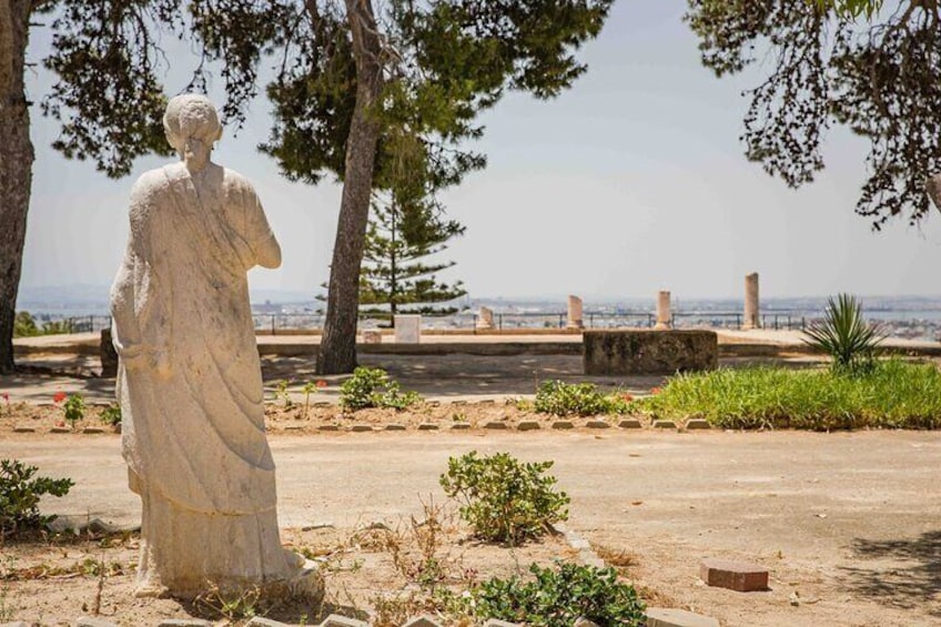 Private Walking Tour of Carthage Archaeological Site in Tunisia