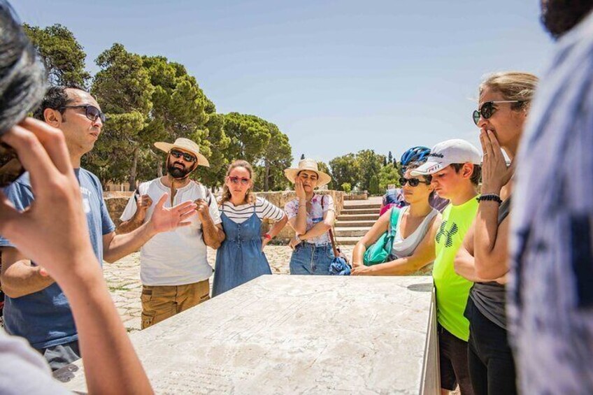 Private Walking Tour of Carthage Archaeological Site in Tunisia