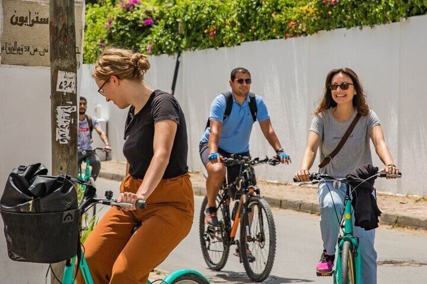 Group Guided Bike Tour of Carthage Archeological Site in Tunisia