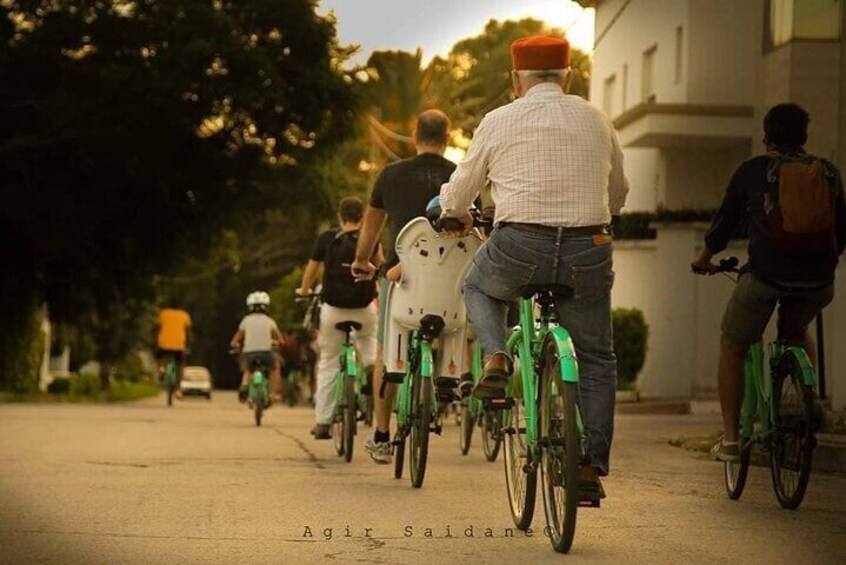 Group Guided Bike Tour of Carthage Archeological Site in Tunisia