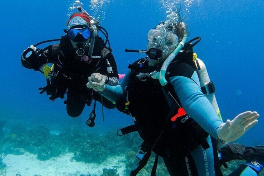 Private 2 Tank Guided Experience in Curaçao for certified divers