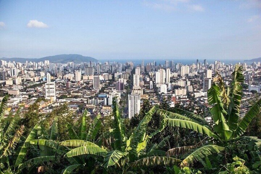 Discover Santos: Shared Full-Day Tour with Tickets and Lunch