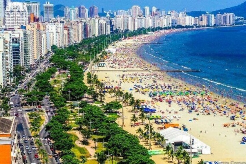 Discover Santos: Shared Full-Day Tour with Tickets and Lunch
