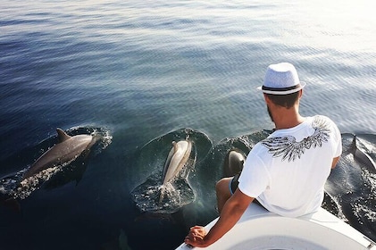 Trinco Tour B - Whales, Dolphins & Snorkeling tour
