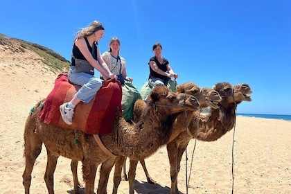 Full Day Private Tangier Tour From Tarifa All-inclusive