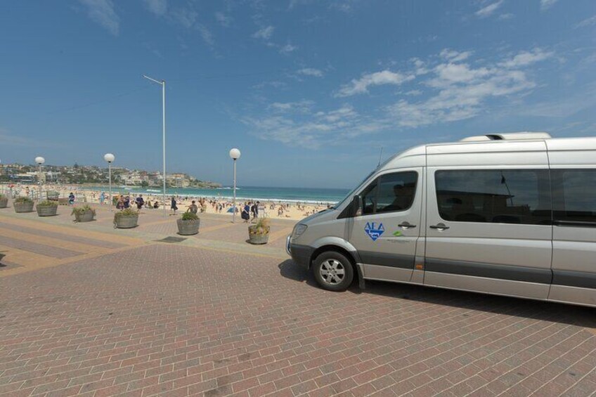 Bondi Beach