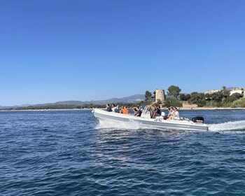 Santa Maria Navarrese: Grotta del Fico and Beaches Boat Trip