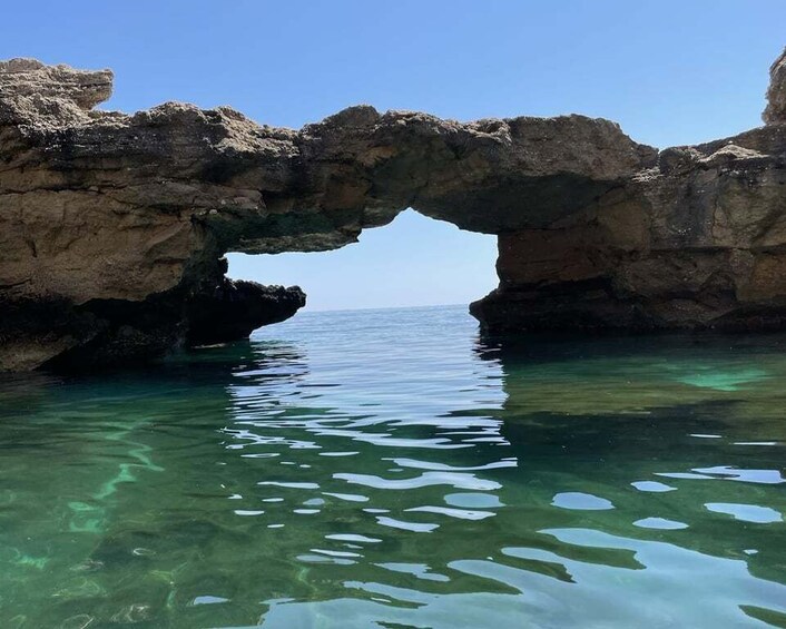 Picture 9 for Activity Santa Maria Navarrese: Grotta del Fico and Beaches Boat Trip